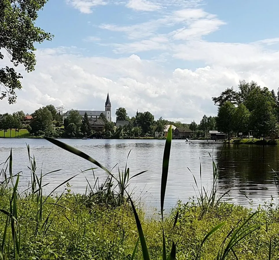 Waldsee Nagel 0*,